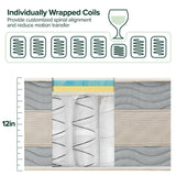 ZINUS 12 Inch Cooling Comfort Support Hybrid Mattress [New Version], Full, Fiberglass Free, Medium Plush, Cooling Motion Isolation, Certified Safe Foams & Fabric, Mattress in A Box Zinus