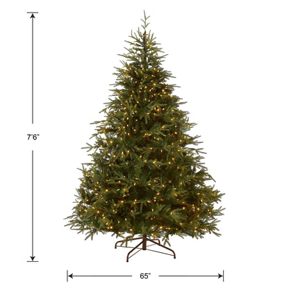 National Tree Company Pre-Lit 'Feel Real' Artificial Full Christmas Tree, Green, Frasier Grande, Dual Color LED Lights, Includes Stand, 7.5 Feet