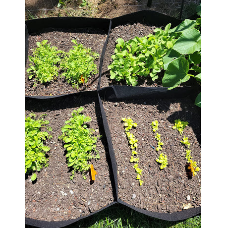 CJGQ Fabric Raised Garden Bed, 128 Gallon 8 Grids Plant Grow Bags, 3x6FT Planter Raised Beds for Growing Vegetables Potatoes Flowers, Rectangle Planting Container for Outdoor Gardening CJGQ