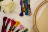 UMC STAG 12 Pieces Variegated Colours Premium Embroidery Thread | 100% Egyptian Cotton Premium Skeins | Cross Stitch Embroidery Floss | Oeko TEX Certified Stranded Cotton | Ideal for Arts & Crafts UMC STAG