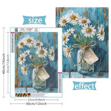 VAIIEYO 5D DIY Phoenix Diamond Art Kits for Adults, Diamond Painting Animal, Diamond Painting Kit Full Drill Round Rhinestone Craft Canvas for Home Wall Decor Gift 12x16 inch/30x40 cm VAIIEYO