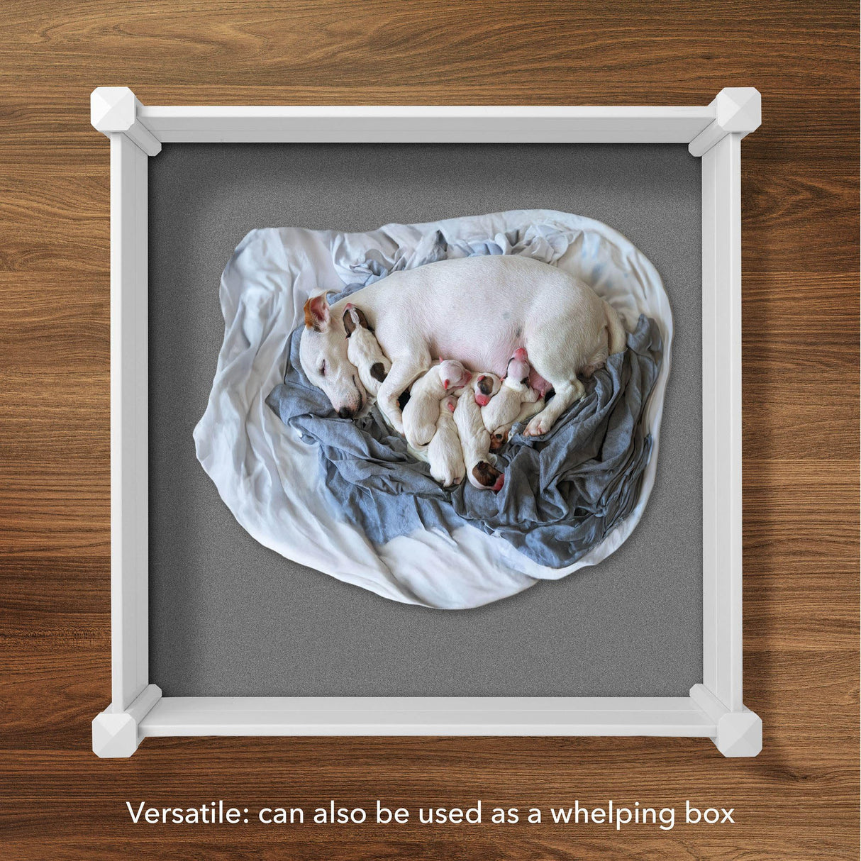 Casafield 4' x 4' x 12" White Vinyl Raised Garden Bed with Grid System, Outdoor Above Ground Planter Box for Flowers, Vegetables, and Gardening Casafield