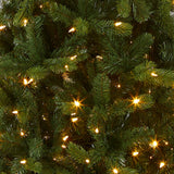 National Tree Company Pre-Lit 'Feel Real' Artificial Slim Downswept Christmas Tree, Green, Douglas Fir, Dual Color LED Lights, Includes PowerConnect and Stand, 9 feet National Tree Company