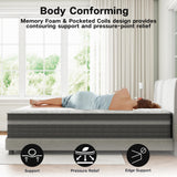 Queen Mattress, 12 inch Queen Size Mattress in a Box Hybrid Design with CertiPUR-US Foam Queen Bed Mattress Pressure Relief Motion Isolation 100 Nights Trial aottress