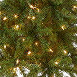 National Tree Company Artificial Pre-Lit Slim Christmas Tree, Green, Kingswood Fir, White Lights, Includes Stand, 4.5 Feet National Tree Company