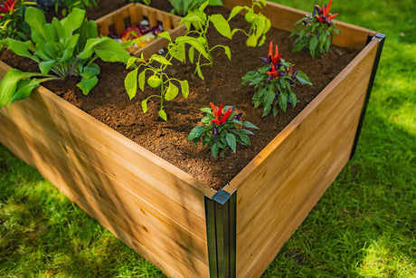 Vita Mezza 3 Foot x 5 Foot Keyhole Garden with Composting Basket, Golden Brown with Black Aluminum Posts, Cedar Wood, FSC, Pre-Stained, Outdoor, VT17702 Vita