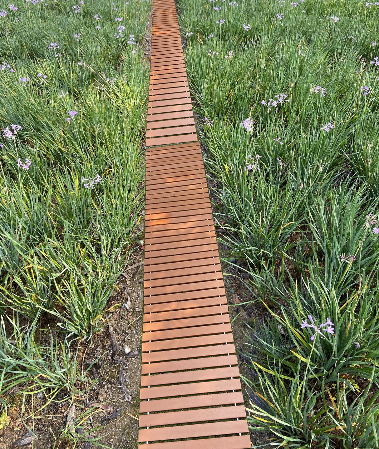 i frmmy Garden Pathway Walkway, PS Wood Outdoor Easy Roll-Out Path, PS Wooden Rollout (8'L x 18" W) i frmmy