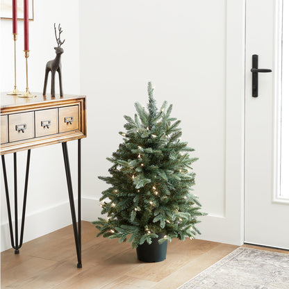 National Tree Company Artificial Christmas Tree For Entrances | Includes White Lights and Pot | Everyday Collections - 3 ft