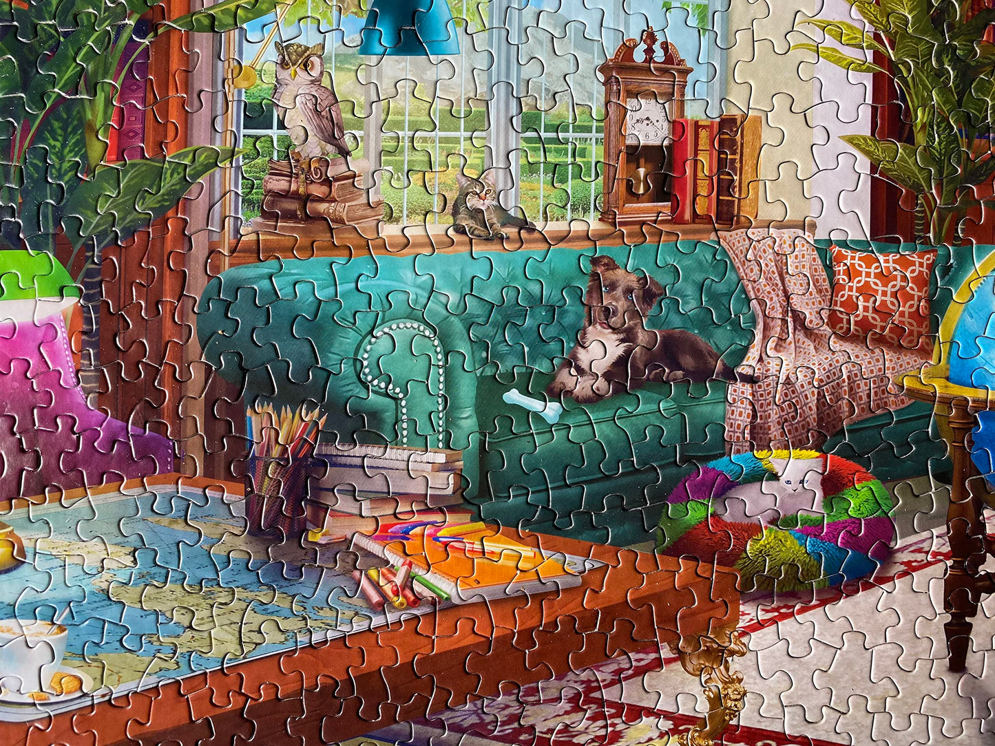 Springbok - The Library - 1000 Piece Jigsaw Puzzle- Challenge Yourself with This Colorful Image for booklovers