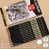 KALOUR Professional Charcoal Pencils Drawing Set -12 Pieces Soft, Medium and Hard Charcoal Pencils for Drawing, Sketching, Shading, Artist Pencils for Beginners & Artists KALOUR