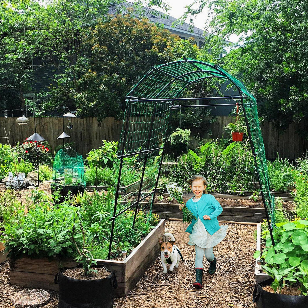 Lalahoni Garden Arch Trellis for Climbing Plants Outdoor, 7 ft Tall Walkway Metal Archway Arbor Tunnel Large for Vegetables Plant Cucumber Trellis for Garden Raised Bed, Black lalahoni