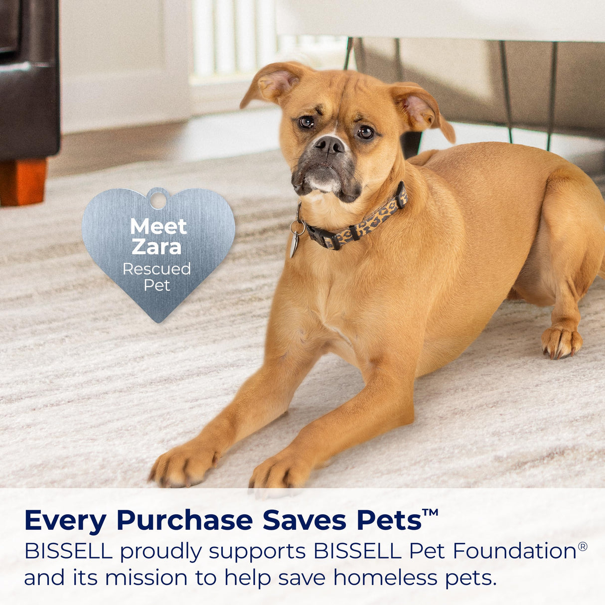 Bissell® CleanView Swivel Vacuum with Triple Action Brush Roll, Swivel Steering, Extension Wand, Easy-Empty Dirt Tank, Multi-Cyclonic Suction System, New 2024 Model Bissell