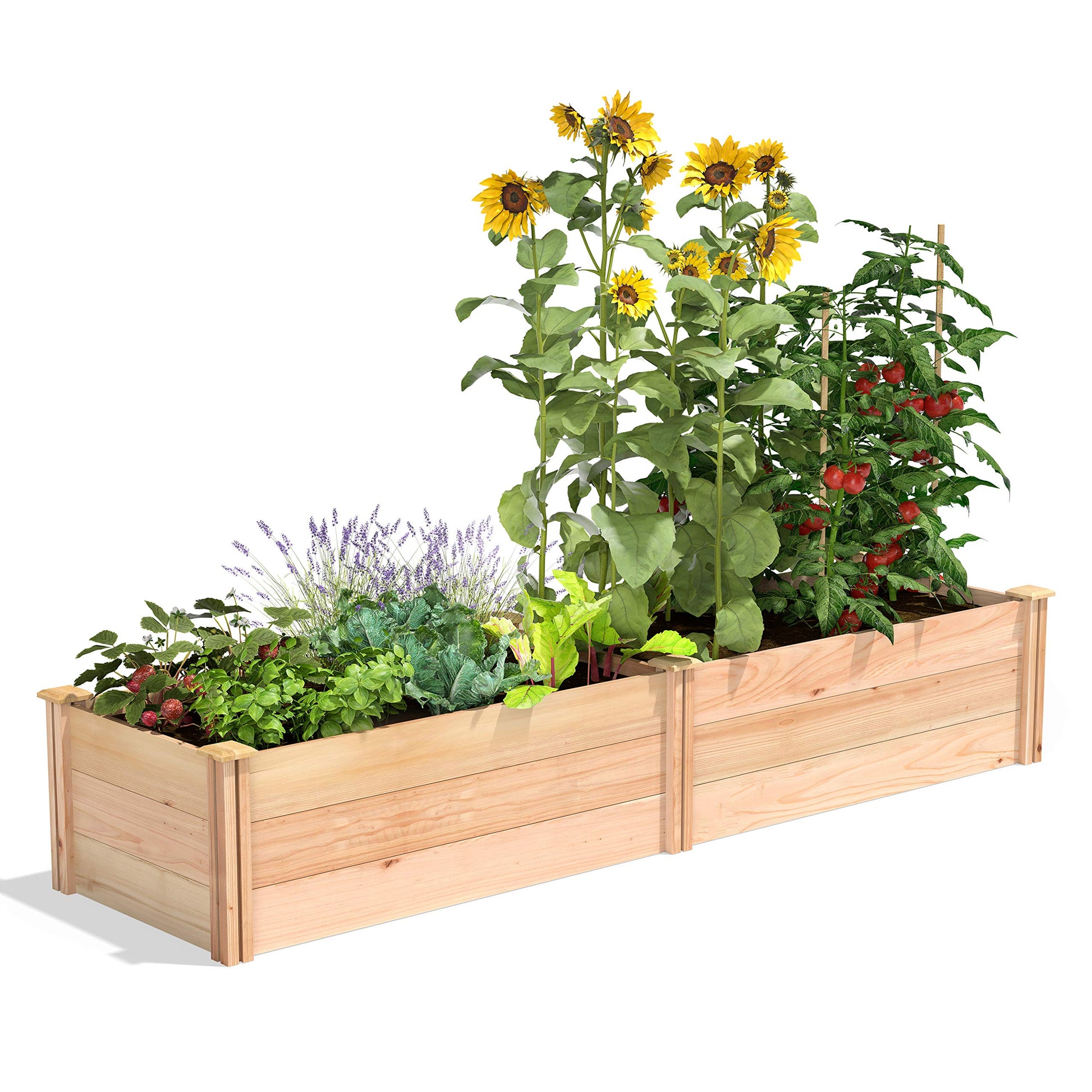 Greenes Fence Premium Cedar Raised Garden Bed, 2' x 8' x 16.5" - Made in USA with North American Cedar - WoodArtSupply