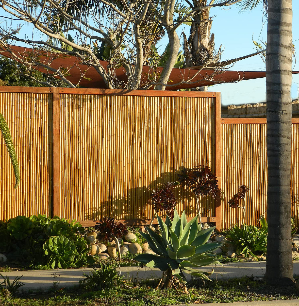 Backyard X-Scapes Natural Bamboo Fencing Decorative Rolled Fence Panel 1 in D x 6 ft H x 8 ft L Backyard X-Scapes