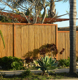 Backyard X-Scapes Natural Bamboo Fencing Decorative Rolled Fence Panel 0.75 in D x 3 ft H x 8 ft L Backyard X-Scapes