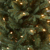 National Tree Company Pre-lit Artificial Mini Christmas Tree | Includes Small Lights and Cloth Bag Base | for Tabletop or Desk | Burlap-4 ft, 4', Green National Tree Company