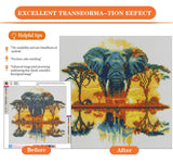 igoodom Diamond Art Kits for Adults, Elephant Diamond Painting Kit, Full Drill Round Elephant Diamond Art Kits, DIY Gem Art and Crafts for Home Wall Decor Gift 14x14inch igoodom