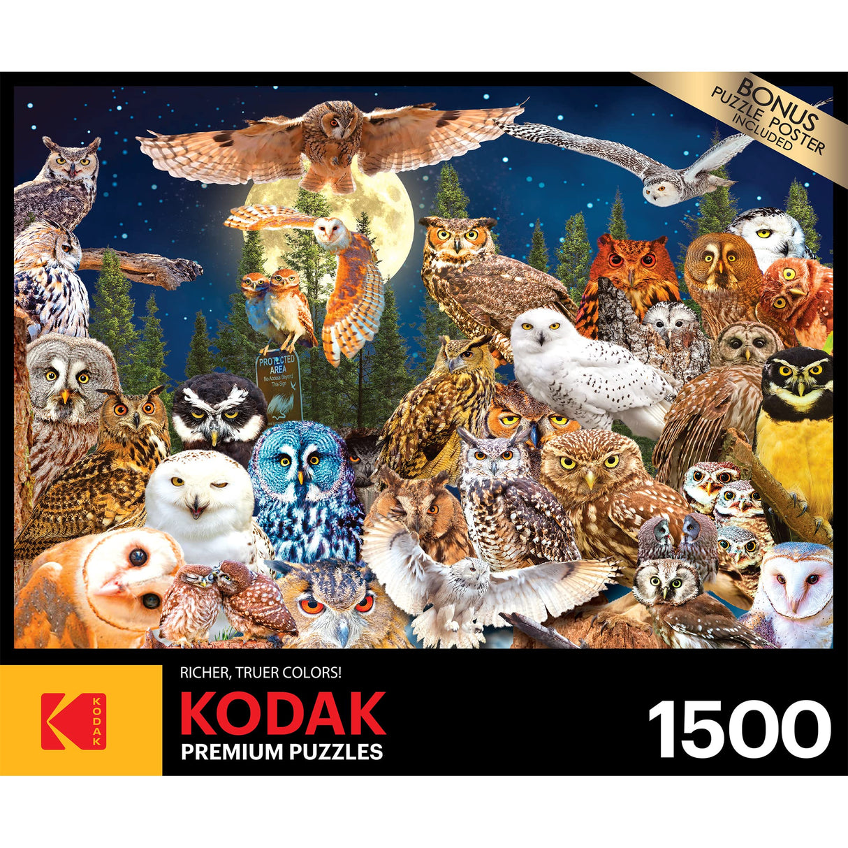 RoseArt - Kodak Premium - Night Owls - 1500 Piece Jigsaw Puzzle for Adults RoseArt