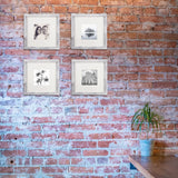 TOFOREVO 8x8 Square Picture Frames Set of 6 Distressed White Wood Grain Photo Frame for Gallery Wall Mounting or Tabletop Display TOFOREVO