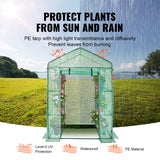 VEVOR Walk-in Green House, 55.5 x 29.3 x 80.7 inch, Portable Greenhouse with Shelves, High Strength PE Cover with Roll-up Zipper Door and Steel Frame, Set Up in Minutes, for Planting and Storage VEVOR