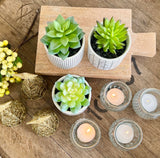 Kurrajong Farmhouse Wood pedestal stand | Planter stand | Wood pedestal board for plants | Wood riser board for home decor | Mango Wood pedestal display stand for plants Kurrajong Farmhouse