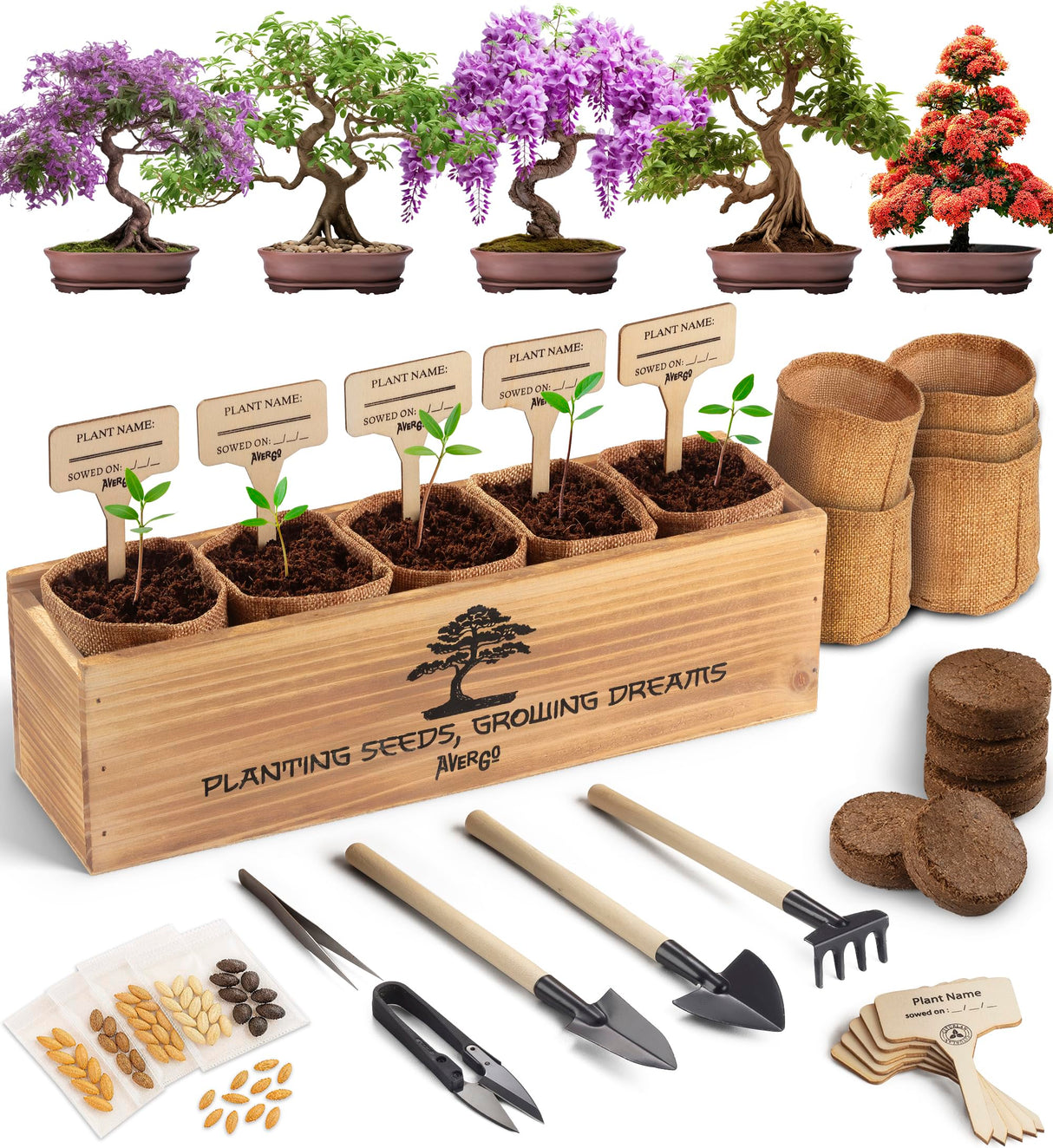 AVERGO Bonsai Tree Kit for Beginners – 5X Unique Japanese Bonzai Trees | Complete Indoor Starter Kit for Growing Plants with Bonsai Seeds, Tools & Planters – Gardening Gifts for Women & Men AVERGO