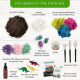 Creations by Nathalie – DIY Large Terrarium Starter Kit with Soil, Moss, Pebbles, Healing Crystal, Tools & Supplies – Terrarium Kit for Adults & Kids, Handcrafted in USA Creations by Nathalie