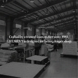 LIFEMENT Basic 8 Inch Queen, Graphite Infused Memory Foam Mattress, Medium Firm, Fiberglass Free, Pressure Relief, Safe & Certified Foams & Cover, 10-Year Warranty LIFEMENT