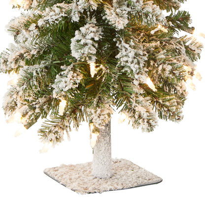 National Tree Company Pre-Lit Artificial Christmas Tree, Snowy Downswept, Green, White Lights, Includes Stand, 2 Feet