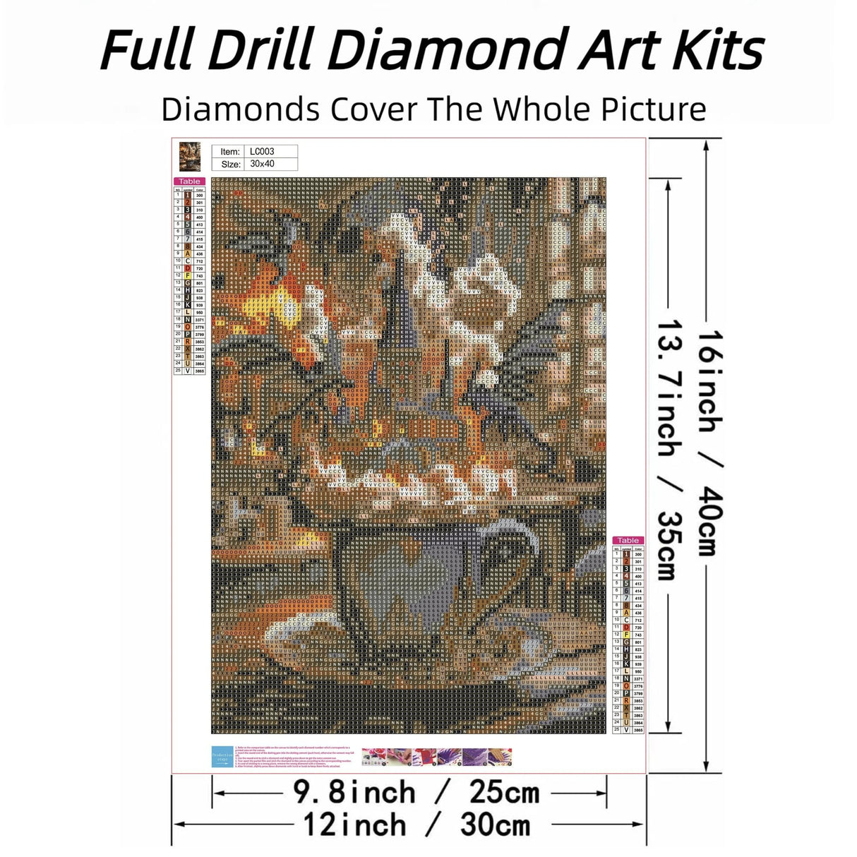ckdiluy Magic Diamond Art Kits for Adults, DIY Magical Dragon Diamond Painting Kits Round Castle Diamond Dots for Adults, 5D Full Drill Crafts for Home Wall Decor 12 X 16inch ckdiluy