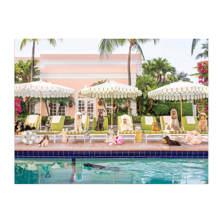 Galison Gray Malin Palm Beach – 1000 Piece Book Box Puzzle with Glamorous Palm Beach Dogs Photography Packaged in Magnetic Keepsake Book Sized Box Galison