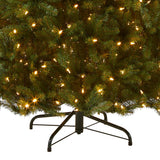 National Tree Company Pre-Lit Artificial Full Christmas Tree, Green, Dunhill Fir, Dual Color LED Lights, Includes Stand, 7.5 Feet, Dual Colored Lights National Tree Company