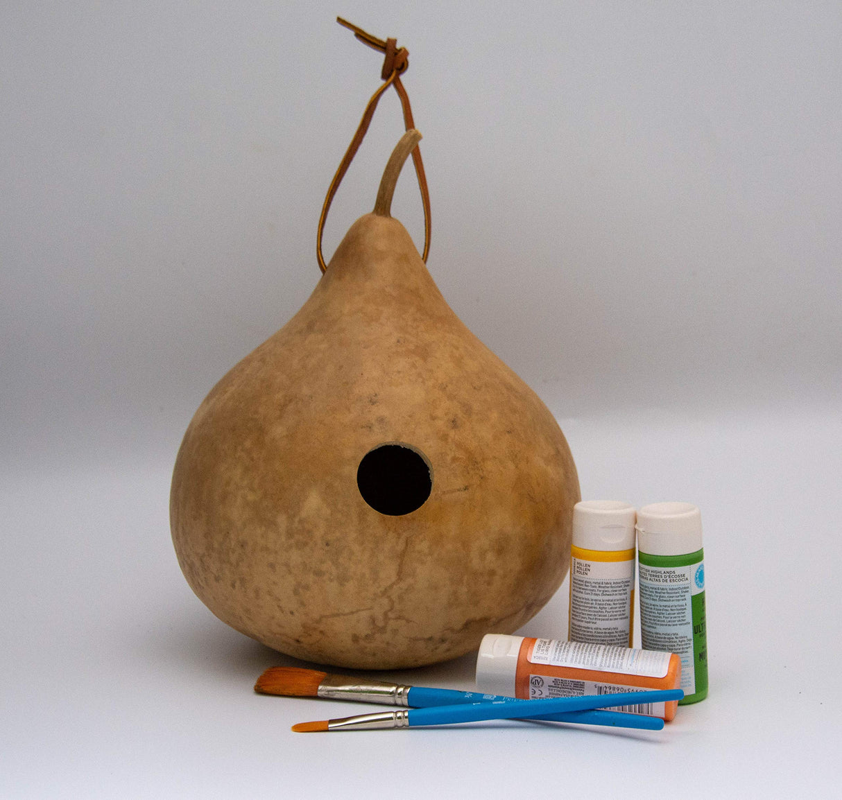 Gourd Birdhouse, Unfinished, Create Your Own Birdhouse Gourdaments