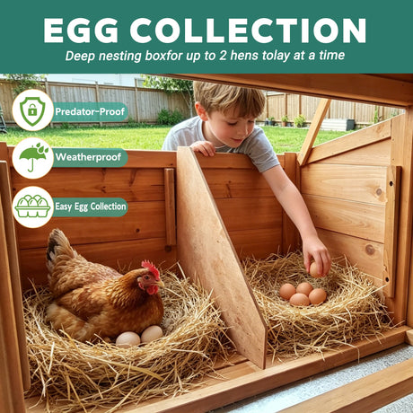 Large Chicken Coop with Nest Box and Run HouseOfZazla