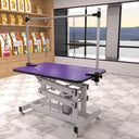 Hydraulic Pet Grooming Table With "H" Arm HouseOfZazla