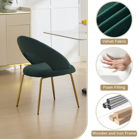 Velvet Fabric Dining Chair with Curved Backrest and Golden Metal Legs HouseOfZazla