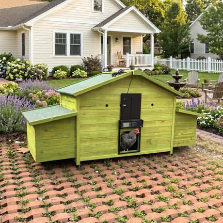 70" Automatic Chicken Coop with Solar-Powered Door HouseOfZazla