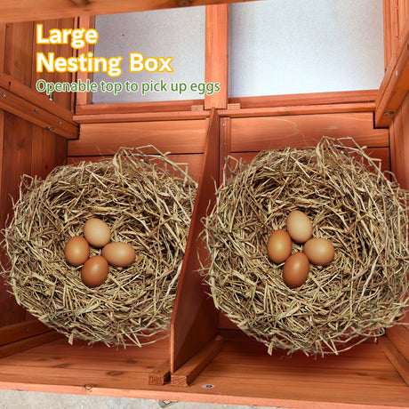 70" Large Wooden Chicken Coop with 2 Nesting Boxes HouseOfZazla