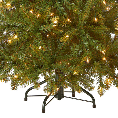 National Tree Company Pre-Lit Artificial Mini Christmas Tree, Green, Dunhill Fir, White Lights, Includes Stand, 4 Feet