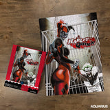 AQUARIUS DC Comics Puzzle Harley Quinn & The Joker (500 Piece Jigsaw Puzzle) - Officially Licensed DC Comics Merchandise & Collectibles - Glare Free - Precision Fit - 14x19in AQUARIUS