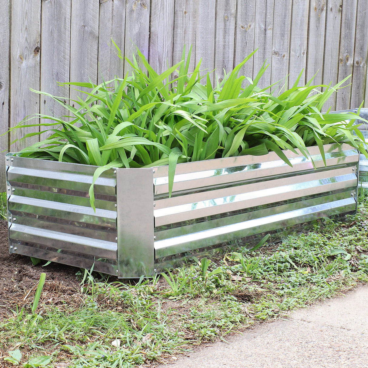Sunnydaze 11.75" H Raised Metal Garden Bed - Galvanized Raised Garden Bed Outdoor for Vegetables and Flowers - Woodgrain - 4' x 2' Silver Sunnydaze