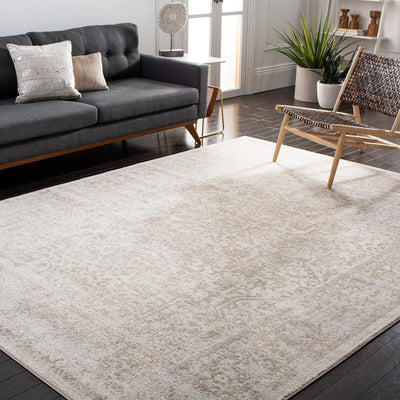 SAFAVIEH Area Rug 8x10 - Evoke Collection - Large - Ivory & Taupe, Distressed Design, Non-Shedding & Easy Cleaning, Ideal for Living Room, Bedroom, Dining Space (EVK256E)