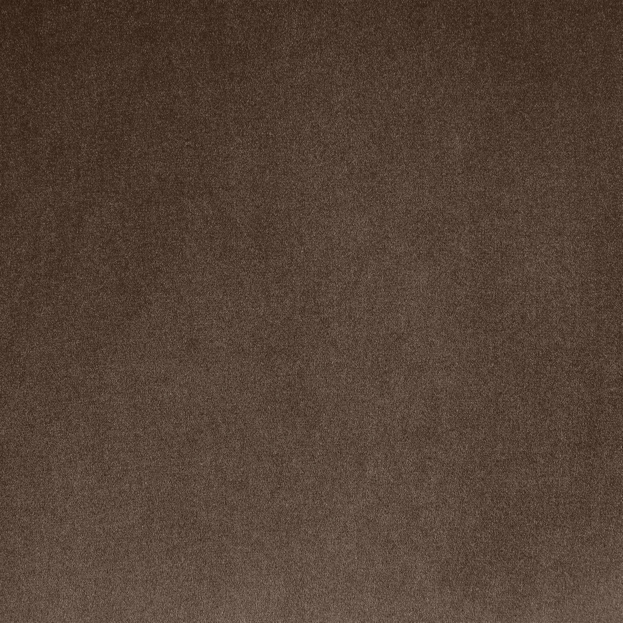 Meridian Furniture 44044Brown-S Emery Collection Modern | Contemporary Sofa with Ultra Luxe Brown 460 GSM Velvet, Solid Eucalyptus Wood Inner Frame, 95" W x 45.5" D x 31" H, Brown Meridian Furniture