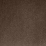 Meridian Furniture 44044Brown-S Emery Collection Modern | Contemporary Sofa with Ultra Luxe Brown 460 GSM Velvet, Solid Eucalyptus Wood Inner Frame, 95" W x 45.5" D x 31" H, Brown Meridian Furniture