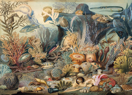 PETER PAUPER PRESS, Inc. Ocean Life 1000 Piece Jigsaw Puzzle PETER PAUPER PRESS