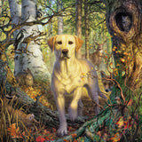 Ceaco - Mark Fredrickson - Yellow Lab - 500 Piece Jigsaw Puzzle Ceaco