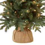 National Tree Company Pre-lit Artificial Mini Christmas Tree | Includes Small Lights and Cloth Bag Base | for Tabletop or Desk | Burlap-4 ft, 4', Green National Tree Company