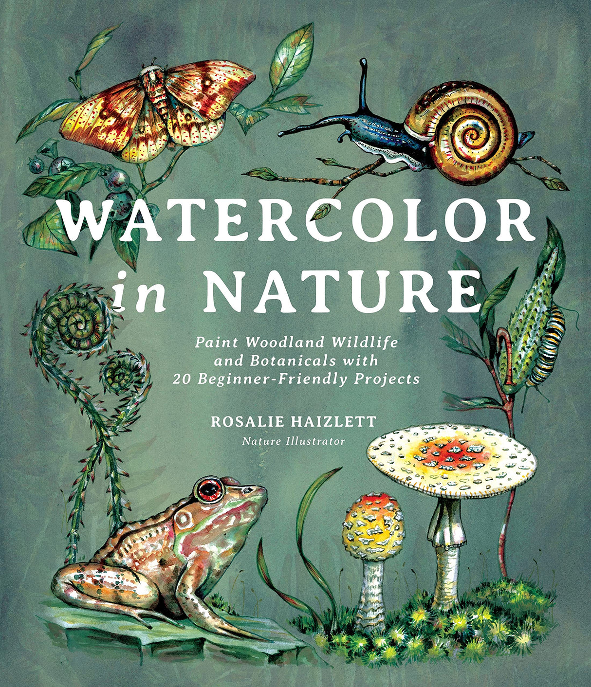 Watercolor in Nature: Paint Woodland Wildlife and Botanicals with 20 Beginner-Friendly Projects WoodArtSupply