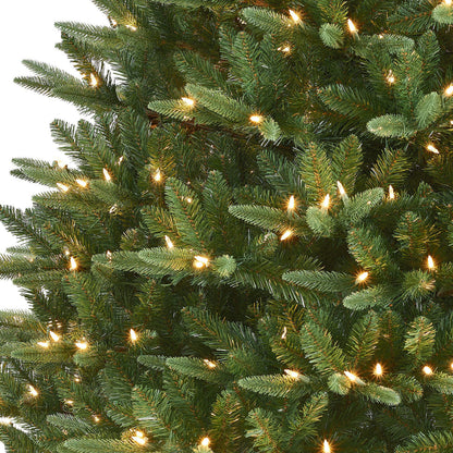 12 ft Pre-Lit Monroe Fir Tree, 3214 Tips, 800 Warm White LED Lights, Sure-Lit Pole®, UL Listed Adaptor