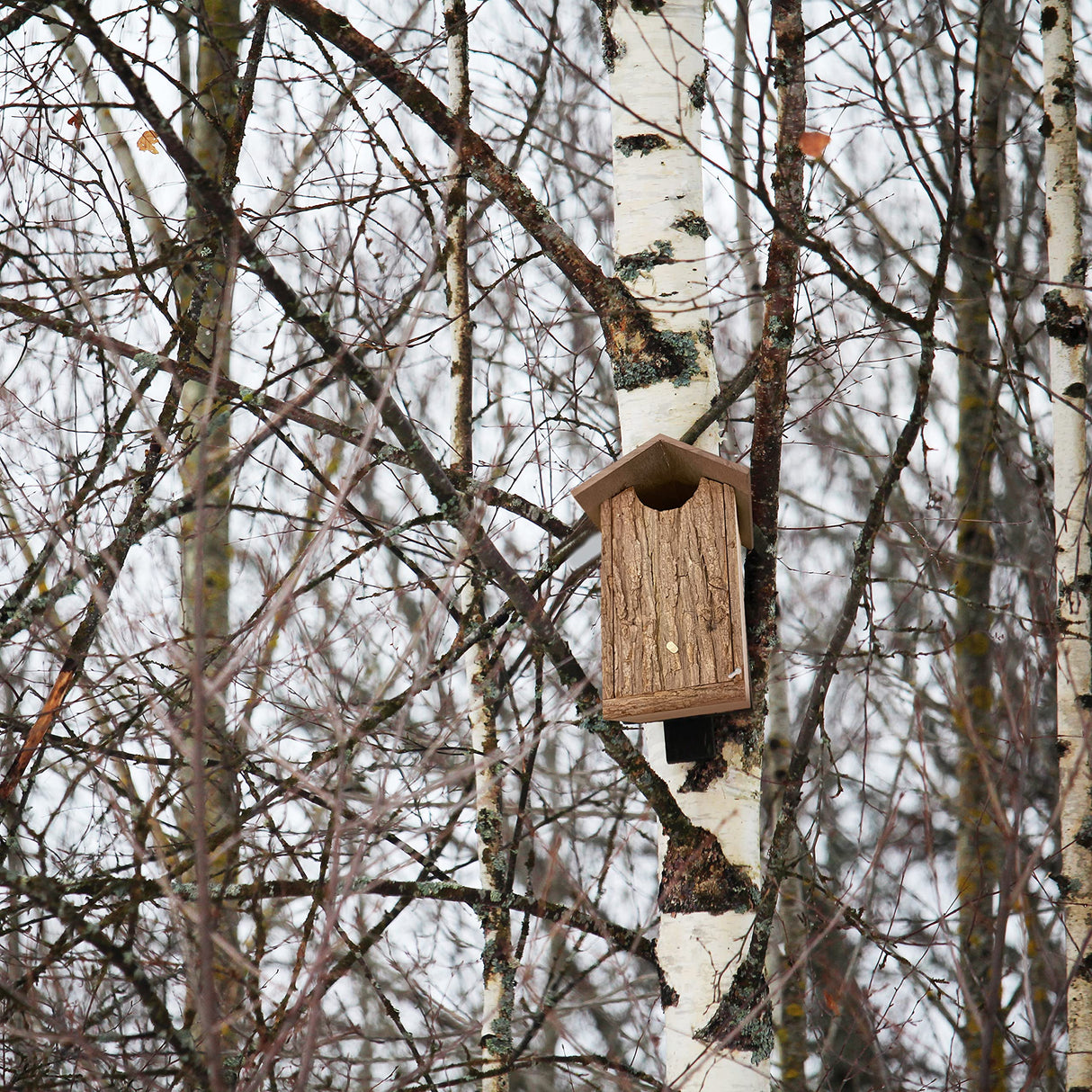Outer Trails Japanese Cedar Wooden Owl Houses, Bark Front Outer Trails
